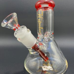 HIPSTER BEAKER HP6063 - 6'' HIPSTER LOGO - ASSORTED