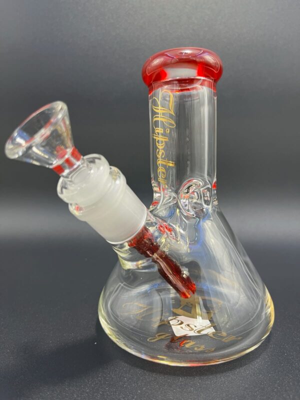 HIPSTER BEAKER HP6063 - 6'' HIPSTER LOGO - ASSORTED