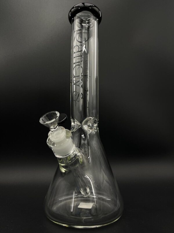 RANDY'S GLASS BEAKERS - 0123 14'' BEAKER