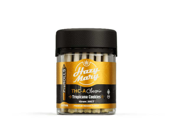 HAZY MARY THCA 1GM PRE-ROLLS JAR 50CT - TROPICANA COOKIES - SATIVA