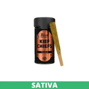 BLACK ROSES KIEF CHIEFS EXOTIC KIEF COATED PRE-ROLLS 2G 10CT JAR - TANGIE SATIVA