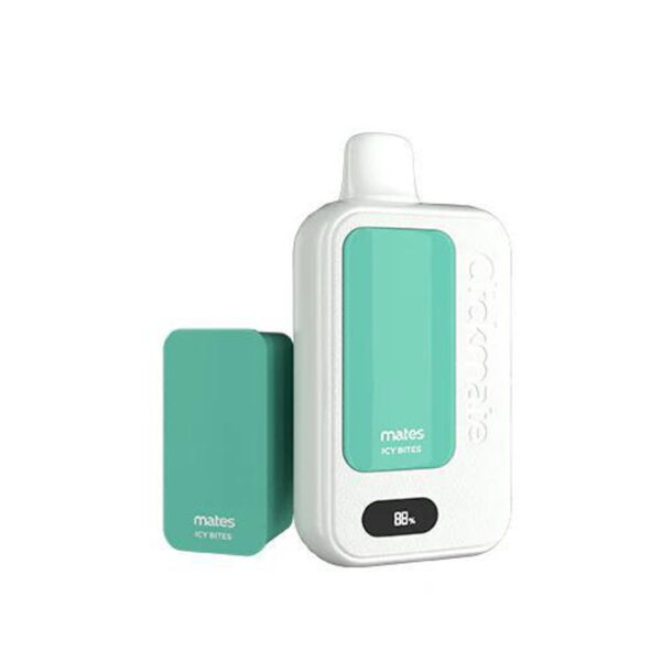 CLICKMATE RECHARGEABLE DISPOSABLE 15000 PUFFS - ICY BITES