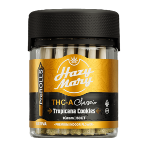 HAZY MARY THCA 1GM PRE-ROLLS JAR 50CT - TROPICANA COOKIES - SATIVA