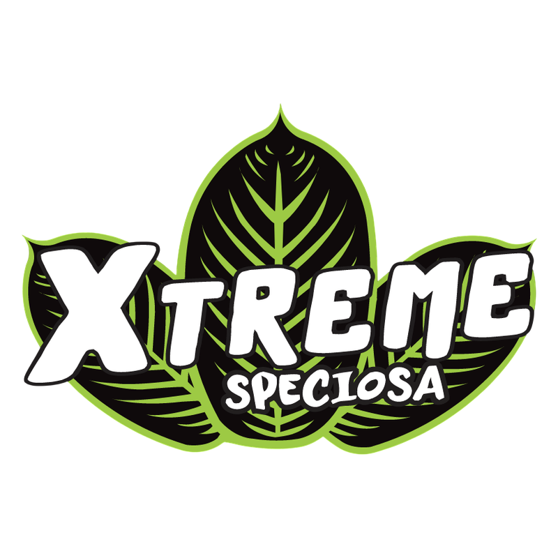 Xtreme Kratom
